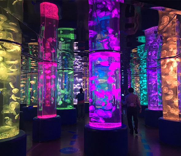 水族館案例