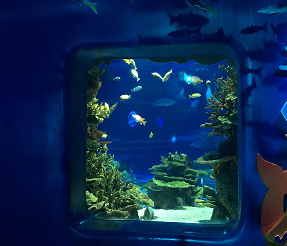 水族館案例